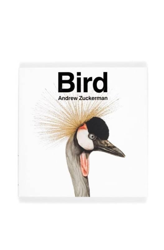 Livros encontrados sobre Andrew Zuckerman | Estante Virtual